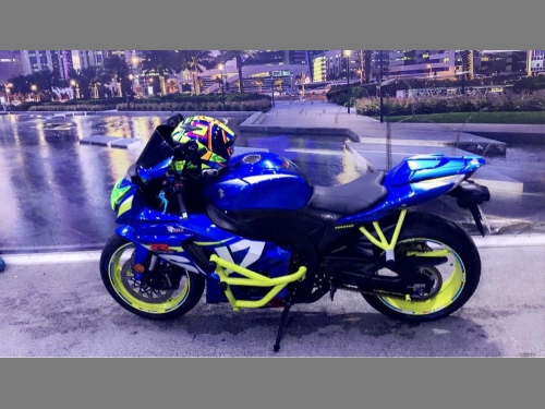 Suzuki GSX-R 1000   2016