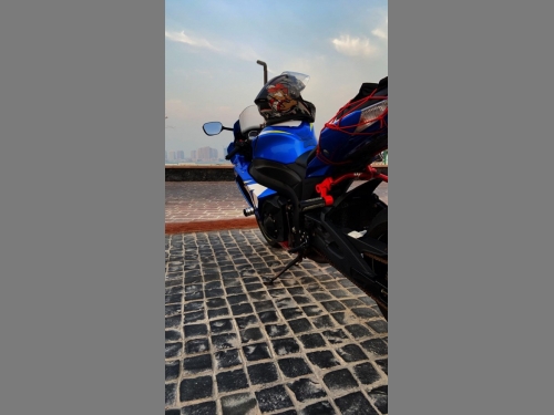 Suzuki GSX-R 1000   2015