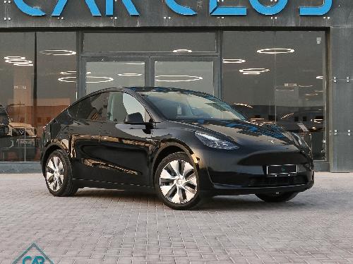 Tesla مودل واي بيرفورمانس 