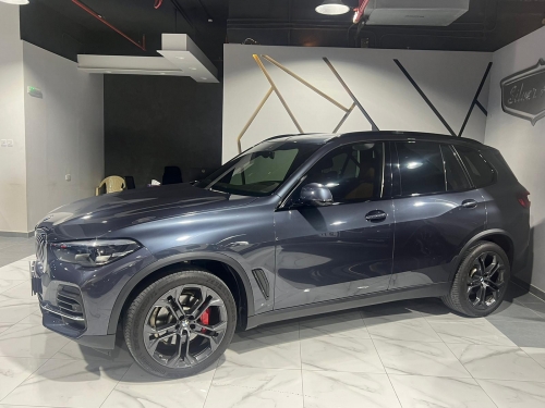 BMW X-Series X5 2022